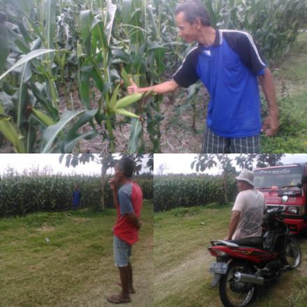 Kelompok Tani Raharjo