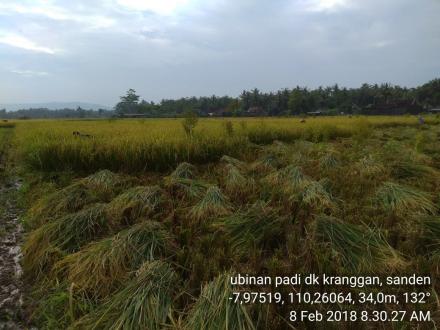 Survei Ubinan di Murtigading