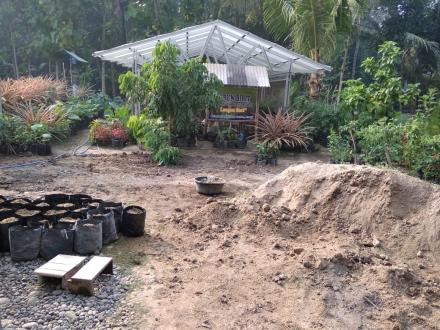 Persiapan Penanaman, KWT Langensari Isi Polybag