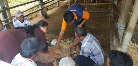 WASPADA !!! MAHASIWA ITNY TURUN KE WARGA UNTUK MENCEGAH PENYEBARAN  VIRUS MEMATIKAN PADA HEWAN