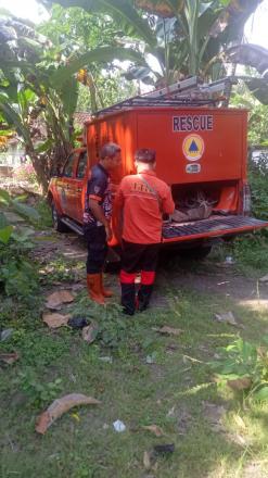 Evakuasi  pohon kelapa menimpa Rumah warga