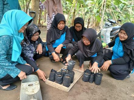 Penyemaian Benih Labu Madu oleh Pokja 3 TP PKK Kalurahan Murtigading