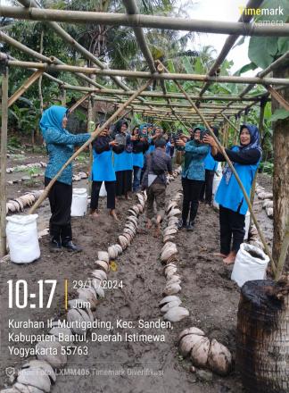 Pemanfaatan Lahan Pekarangan dengan Menanam Labu Madu oleh Pokja 3 TP PKK Kalurahan Murtigading